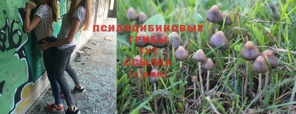 молекула духа Бронницы