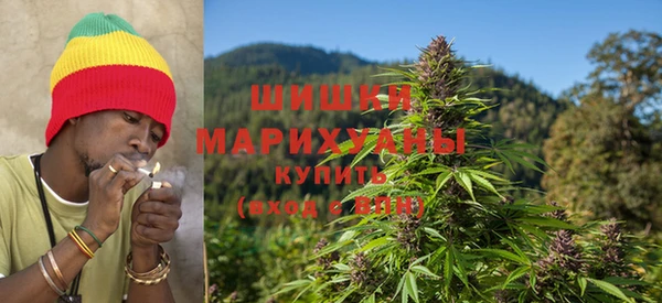 молекула духа Бронницы