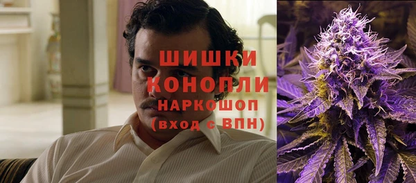 молекула духа Бронницы