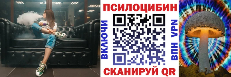 дарнет шоп  Гороховец  Галлюциногенные грибы GOLDEN TEACHER 